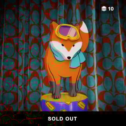 COACH-Ginger-Sold-Out-v1