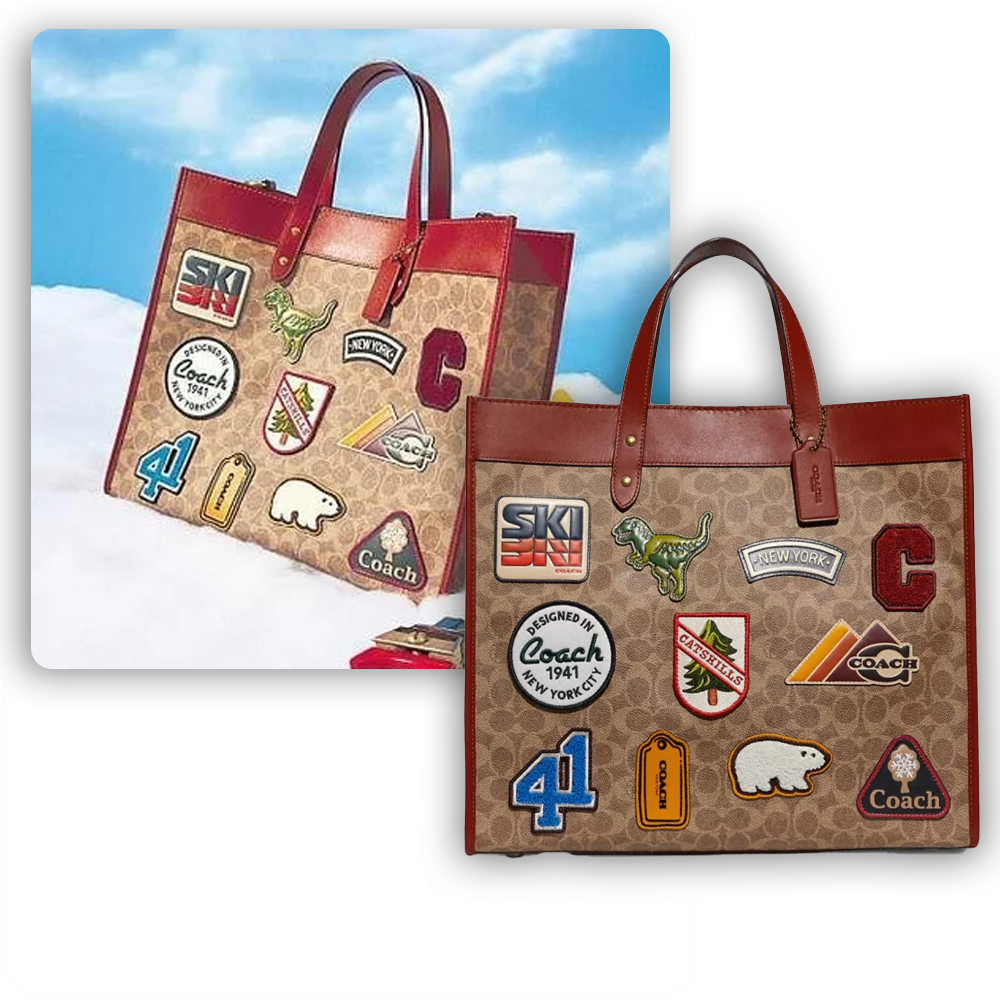 coach-ski-handbag-nft